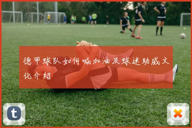 德甲球队如何喊加油及球迷助威文化介绍