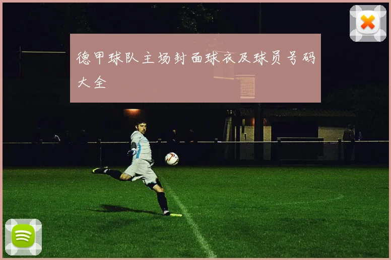 德甲球队主场封面球衣及球员号码大全