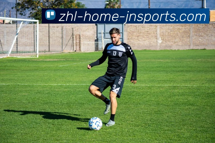 江南体育APP下载平台生态图